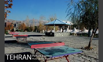 پاییز رنگارنگ بوستان جوانمردان ایران 13