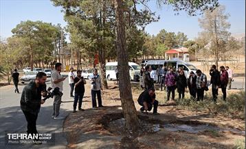 بازدید اصحاب رسانه از روند انجام عملیات احیای چیتگر 45