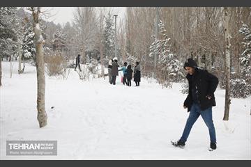 روز برفی تهران - 2 4