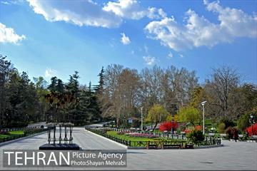 رویش گل های لاله در پارک ملت 2