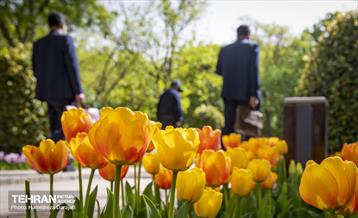 لاله های باغ ایرانی 22