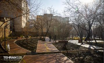 باغ گلاریس 43