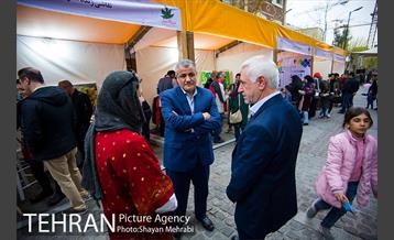 جشنواره نوروزگاه در خیابان برادران مظفر 16