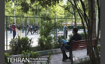 بوستان فدک‎ 15