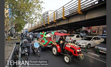 کاروان یلدایی 11