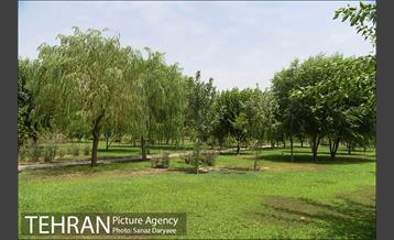 بوستان پردیس بانوان 22