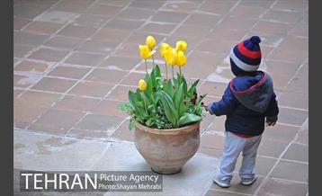 باغ ایراتی (بوستان مهندس مختاری) 20