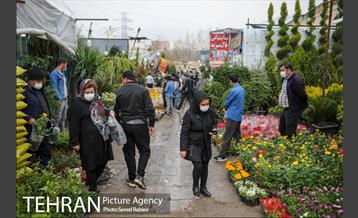 بازار گل و گیاه غرب تهران در آستانه نوروز 30