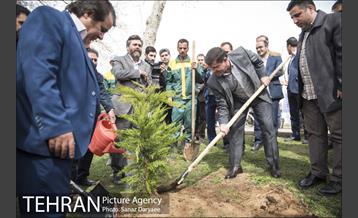 درختکاری و لانه گذاری کبوتر در بوستان بعثت 27