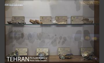 موزه طبیعت و حیات وحش ایران دارآباد‎ 15