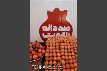هفتمین جشنواره انار فرهنگسرای اشراق 16