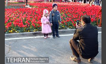جشنواره لاله‌ها در بوستان زندگی محله هرندی 27