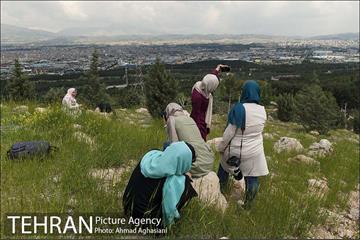 بوستان جنگلی سرخه حصار 3