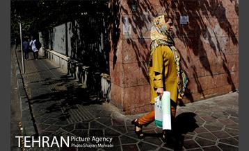 شهرنگار؛ پل سیدخندان 27