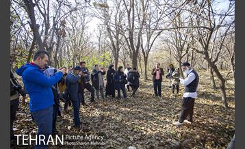 تور عکاسی آژانس عکس تهران در محله کن و سولقان 17