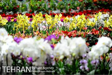 نمایشگاه گل و گیاه در بوستان گفتگو 20
