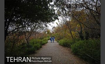 باغ گیاه‌شناسی ملی ایران 6