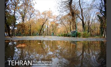 پاییز در پارک شهر 16