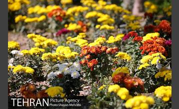 بوستان زندگی 41