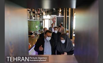 بازدید رییس سازمان بازرسی از  پروژه های منطقه هشت 12