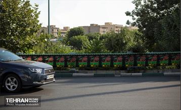 رخت عزا بر تن تهران 6