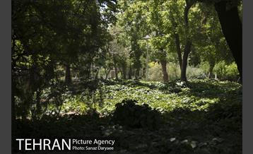 بوستان شفق‎ 10