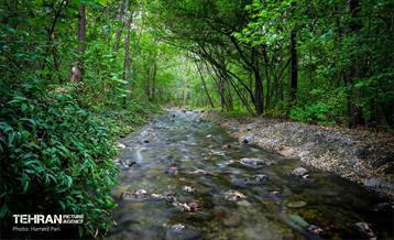 باغ گیاه‌شناسی 8