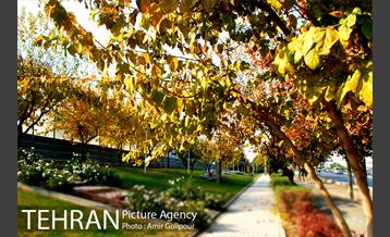 شهرک لاله 11