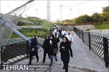 شبگردی اصحاب رسانه در منطقه چهار شهرداری تهران  12