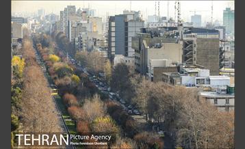 روزهای آفتابی زمستان 29