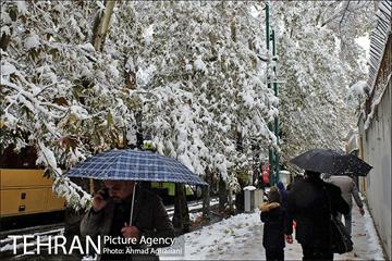 بارش اولین برف پاییزی در تهران 16