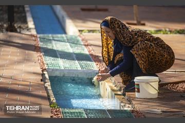 باغ گلاریس 8