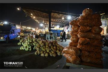 تره‌بار یلدایی 67
