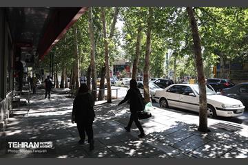 نشست خبری شهردار منطقه 1 6