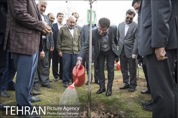 درختکاری و لانه گذاری کبوتر در بوستان بعثت 29