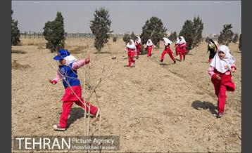 کاشت نهال در بوستان ولایت  34