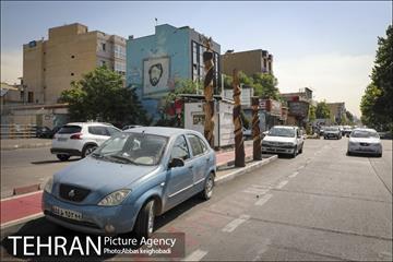 پارک خودرو‌ بین درختان چنار 9