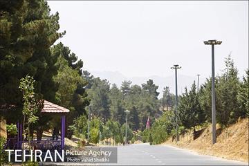 بوستان جنگلی یاس فاطمی 22