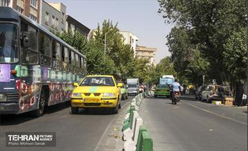 رفیوژ های همیشه سبز 21