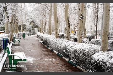 روز برفی تهران - 3 21