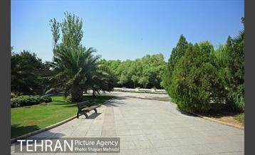 بوستان بسیج 12