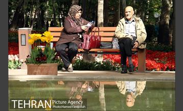 لاله های بهاری بوستان مختاری 18