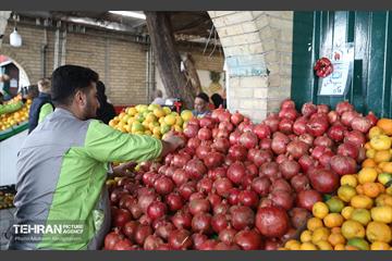تره‌بار یلدایی 10