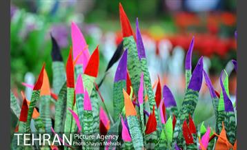 نمایشگاه بین المللی گل و گیاه 37
