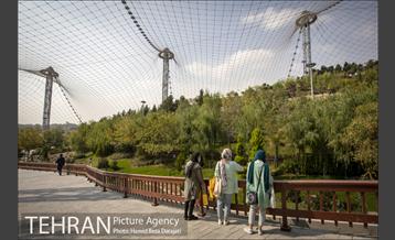 باغ پرندگان فاز دوم 4