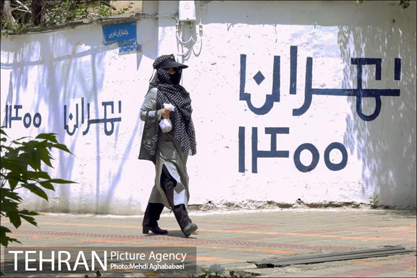 دیوارهای چشم نواز در منطقه 8