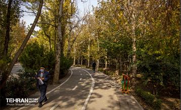 سمفونی رنگ های پاییزی - پارک لاله 29