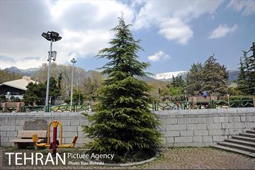 بوستان نیاوران 22