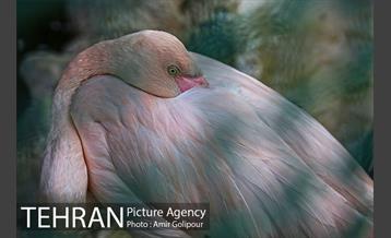 موزه هفت چنار 19