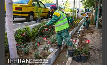 گلکاری در خیابان ولیعصر 8